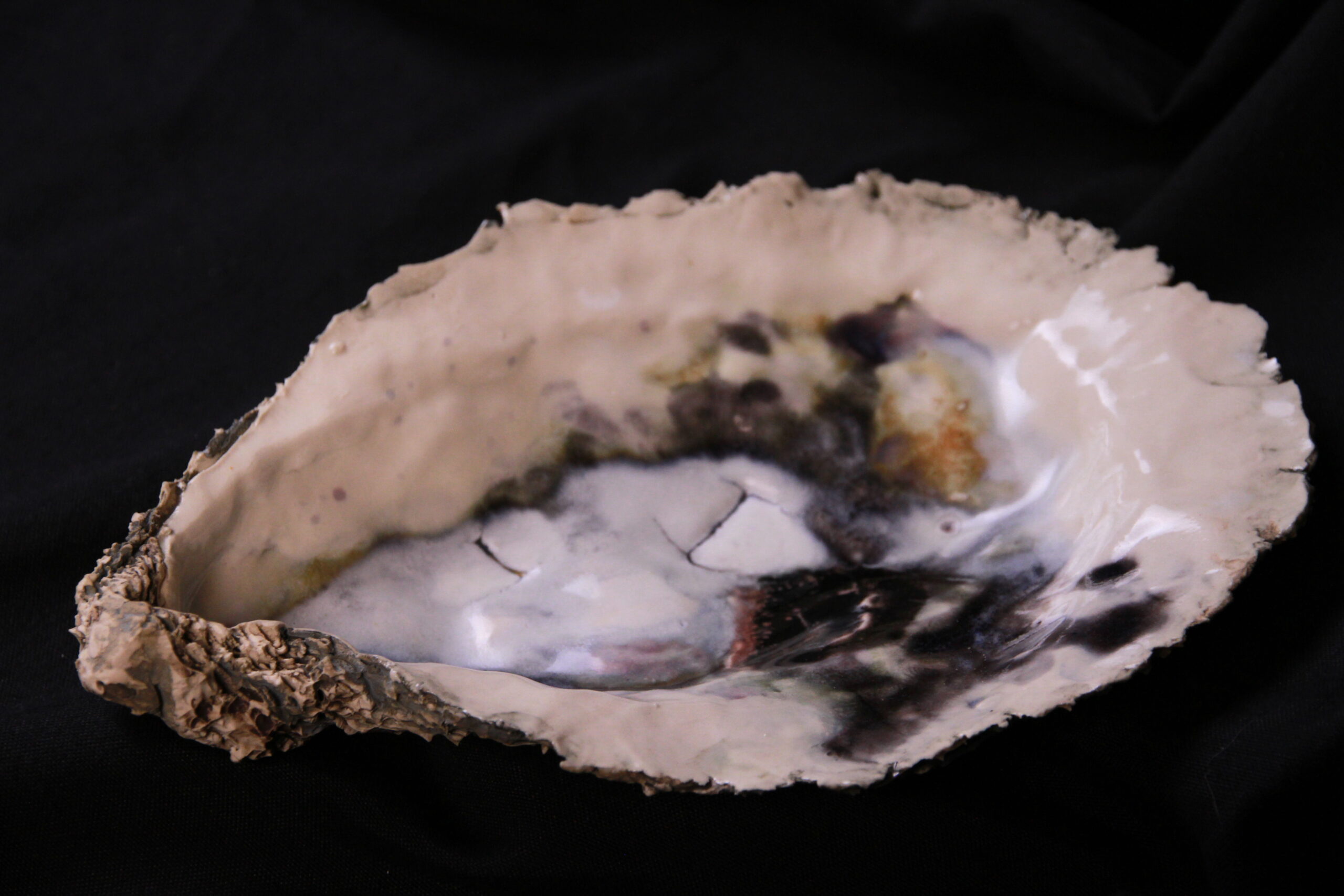 Bell, Tim 15337 Buy Boats